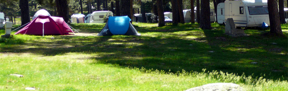 En un magn&iacute;fico pinar, a las orillas del r&iacute;o Tormes, se encuentra El Camping de Gredos